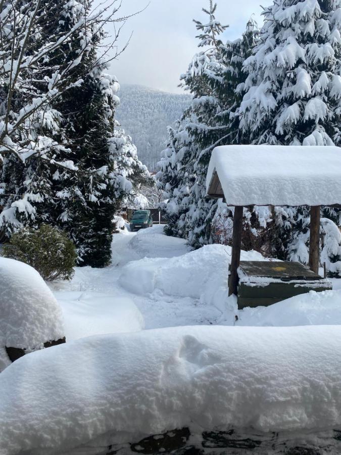 Hotel Садиба "У Чубчика" Yaremche Exterior foto